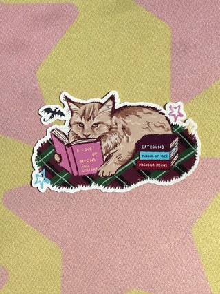 Ginger Cat Fantasy Reading Sticker