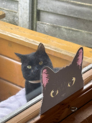 Car & Window Black Cat Peeker Sticker